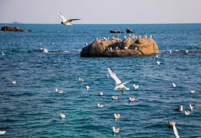 离子色谱利用：海水中阴阳离子的检测