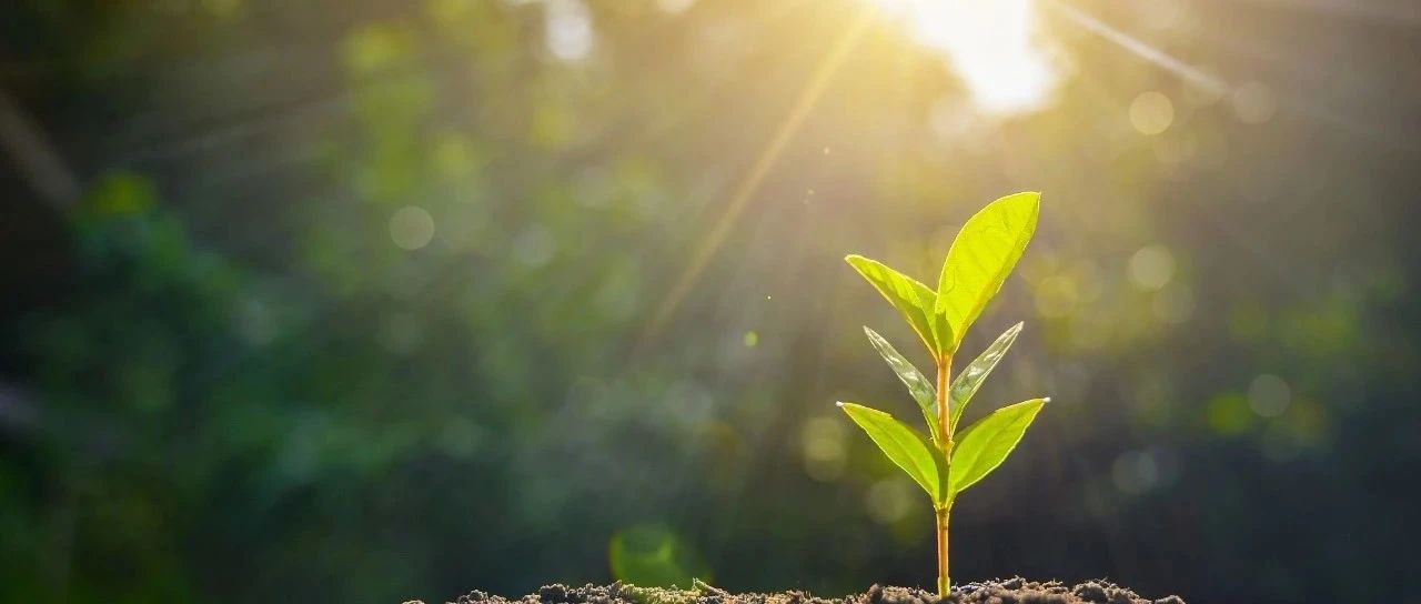 同甘共苦 患难与共 | 河南暴雨灾后复原HAPPY8开心8在行动