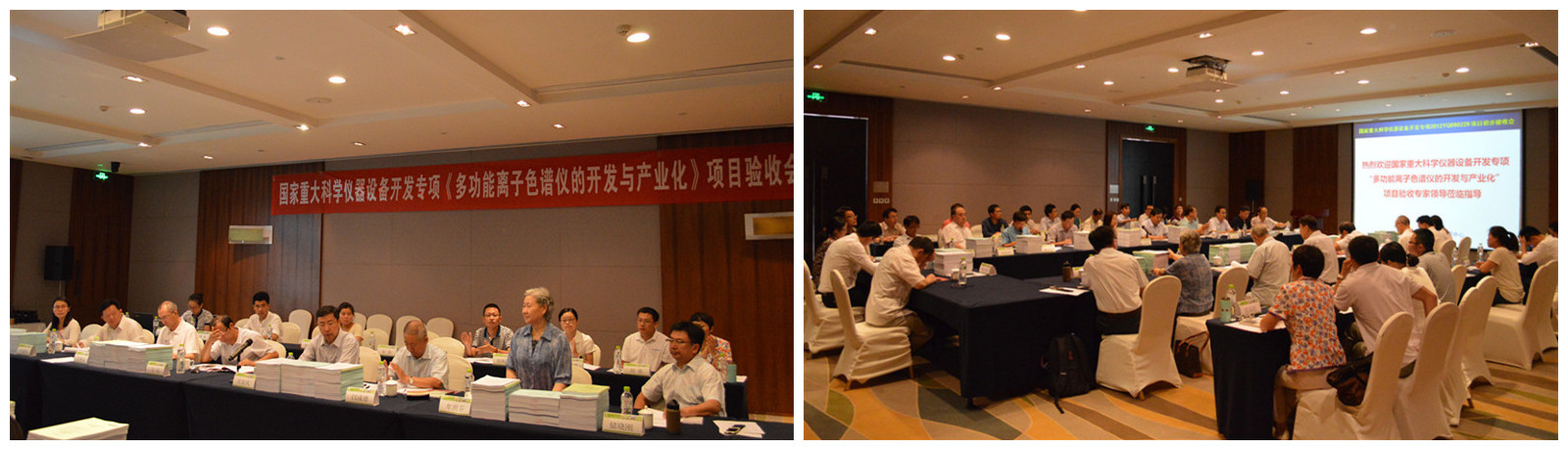 多职能离子色谱仪的开发与产业化项目